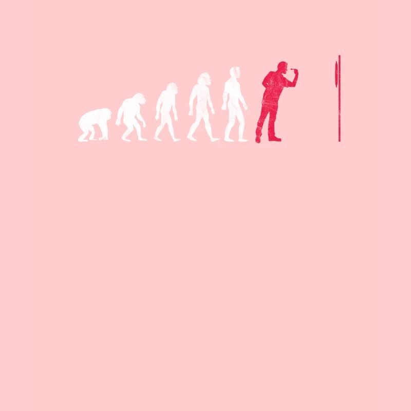 Darts Evolution Darts Evolution Cadeau Bullseye