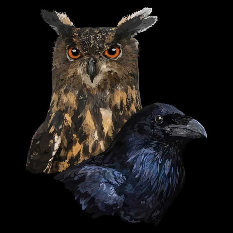 Eule und Krähe