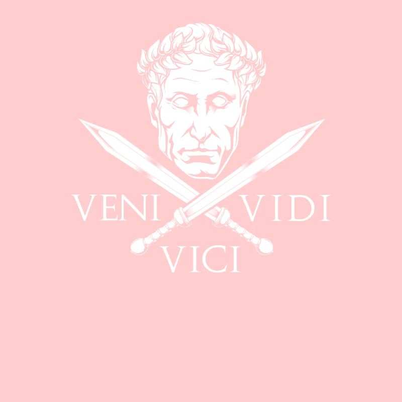 Caesar und Schwerter - Veni Vidi Vici