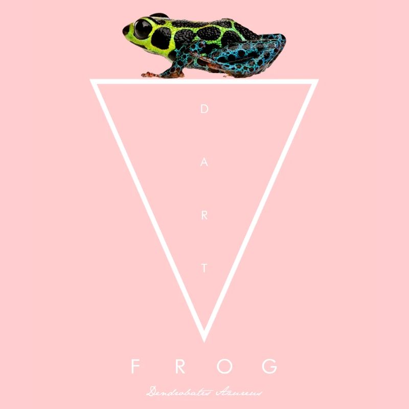 Mimische Pfeilgiftfrosch Ranitomeya Imitator