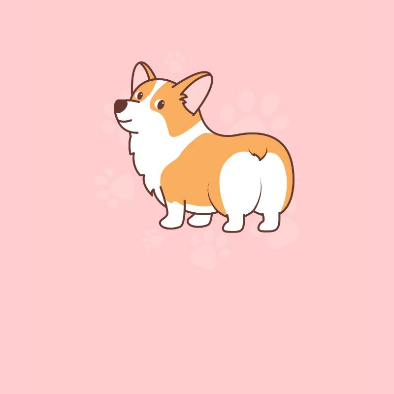 Corgi