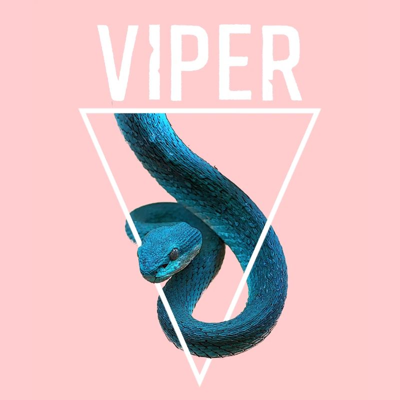 Vipère à lèvres blanches Trimeresurus Insularis