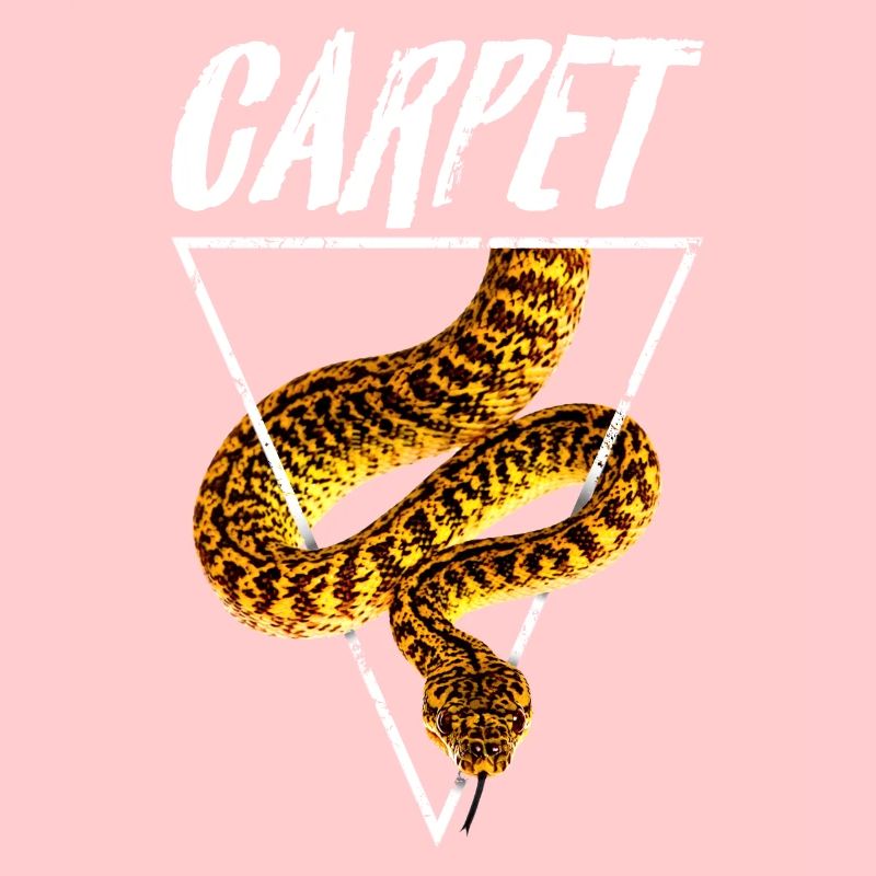 Carpet Python Retro Snake Owner