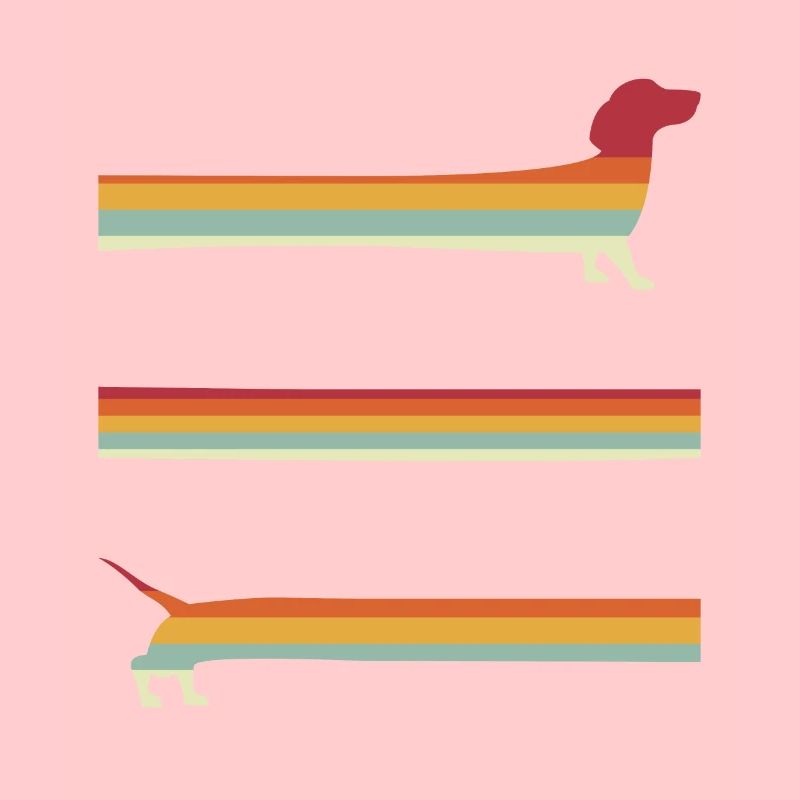 Teckel rétro extra long