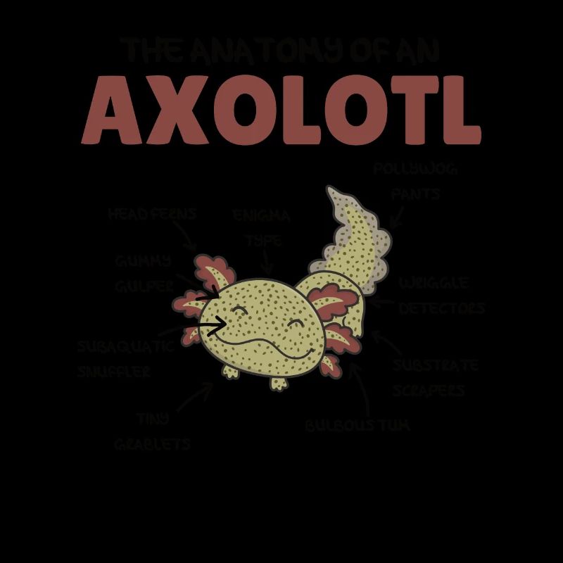 Axolotl Explication Anatomie d’un Axolotl