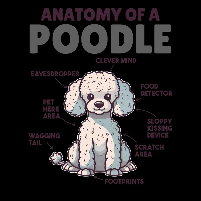 Explication du chien Anatomie d’un caniche