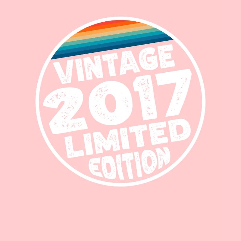 Vintage 2017 Birthday Gift Children's Party