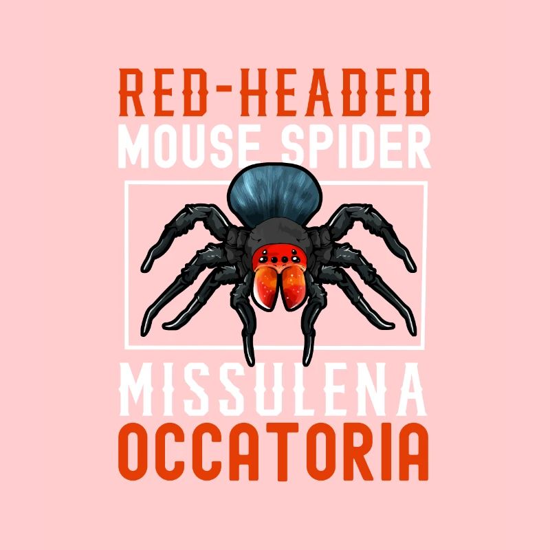 Little Red-headed Mouse Spider
