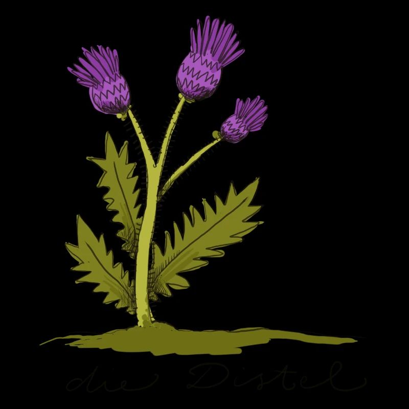 distel