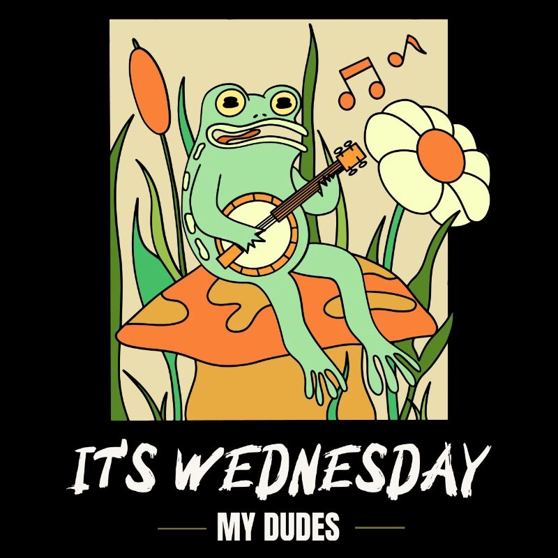 C’est mercredi mes mecs! Mème Grenouille