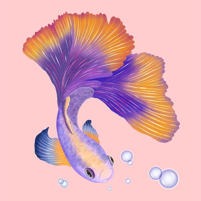 Fisch. Elegant unter Wasser