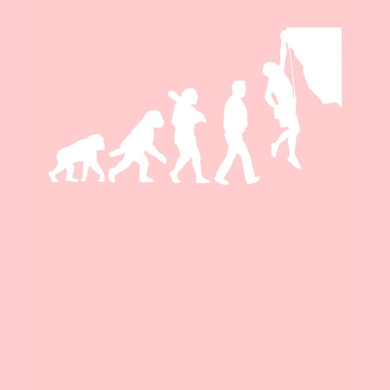 Evolution of climbing