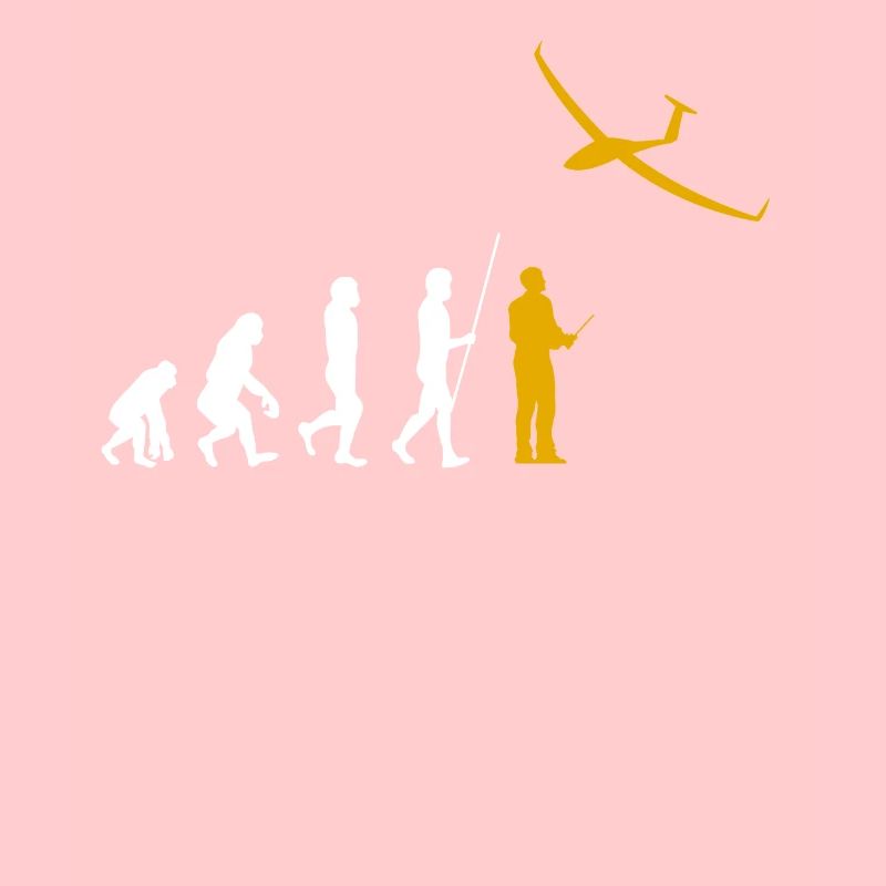 Evolution RC Planeur commandé à distance Modéliser