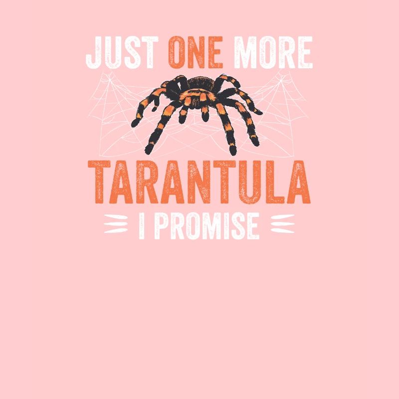 Spiders Spider web Tarantulas Tarantula