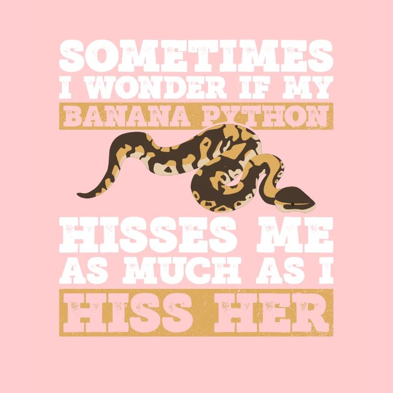 Banana Ball Python Königsphython