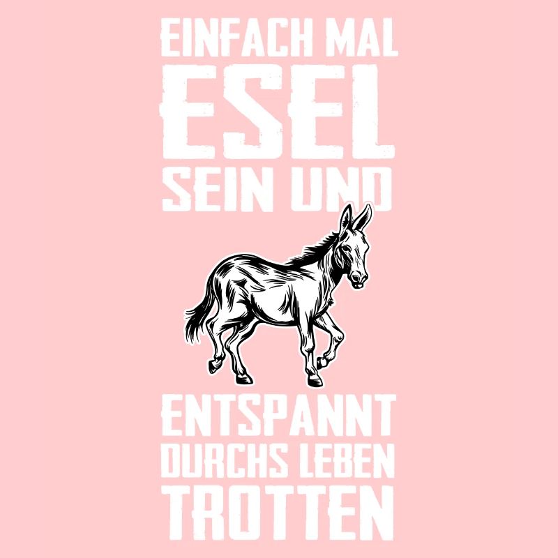 Esel Eselchen Maultier Muli
