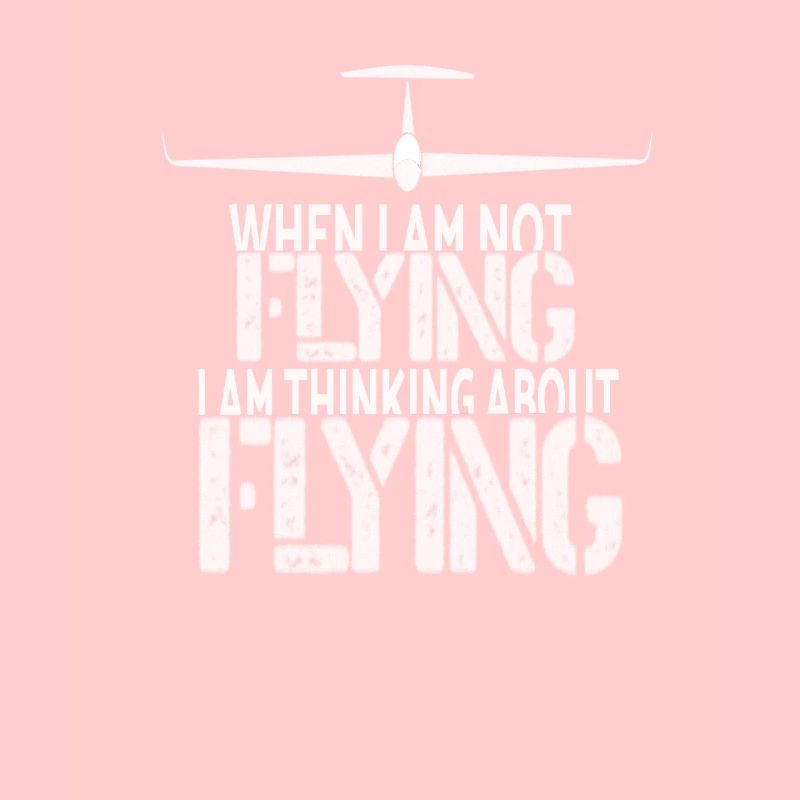 Glider & Fly