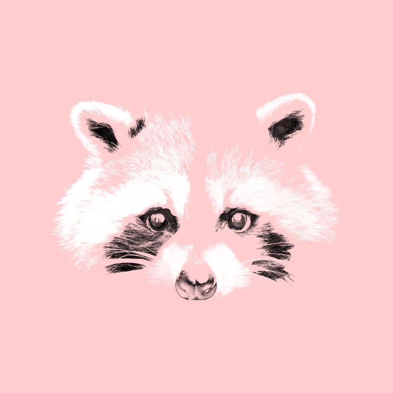 Waschbär