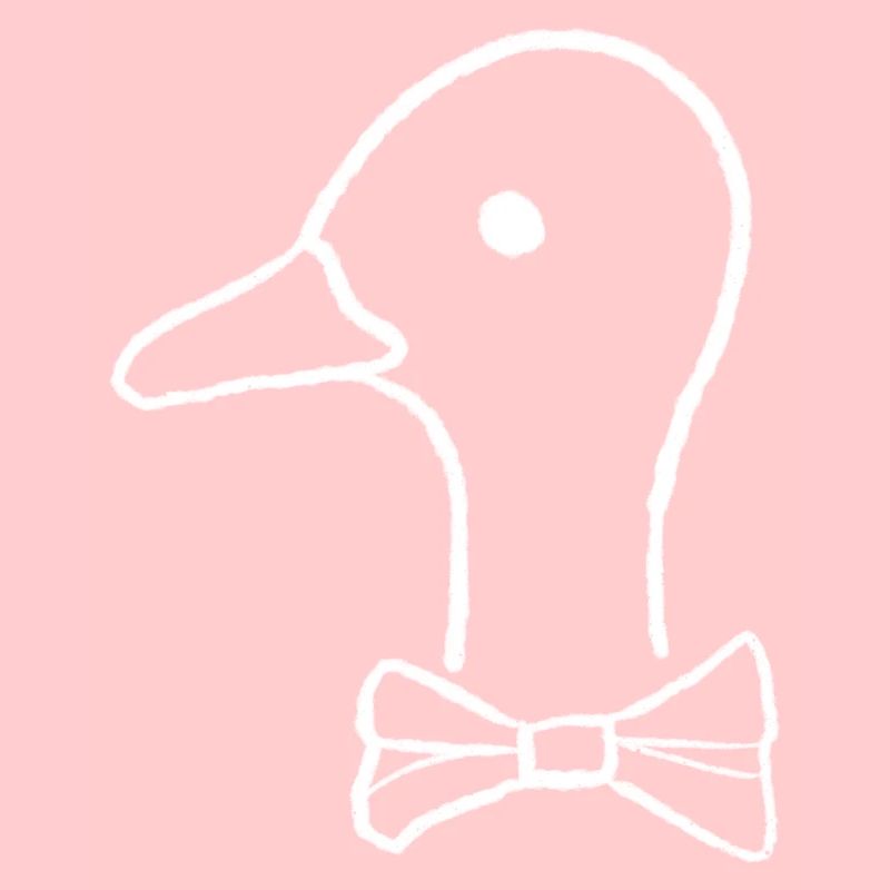 Ente mit Fliege