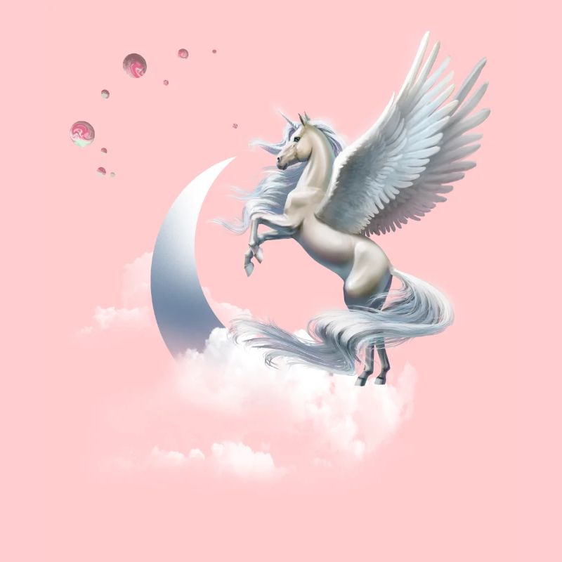 Einhorn oder Pegasus Fliegendes Pferd