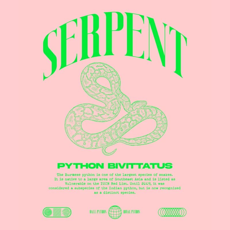 Burmese Python Modern Reptile Keeper Streetwear