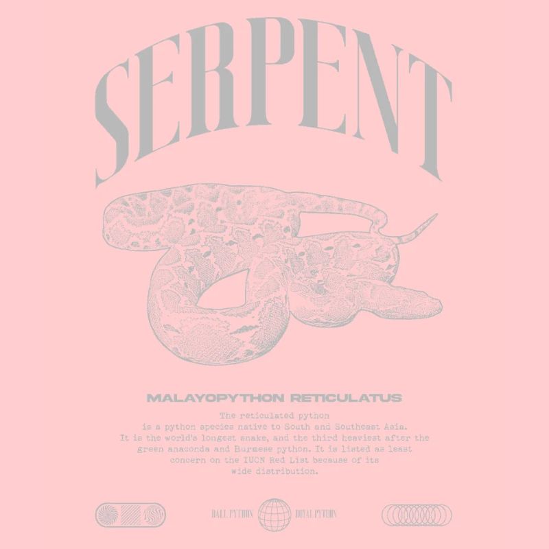 Gardien de reptiles python réticulé Streetwear
