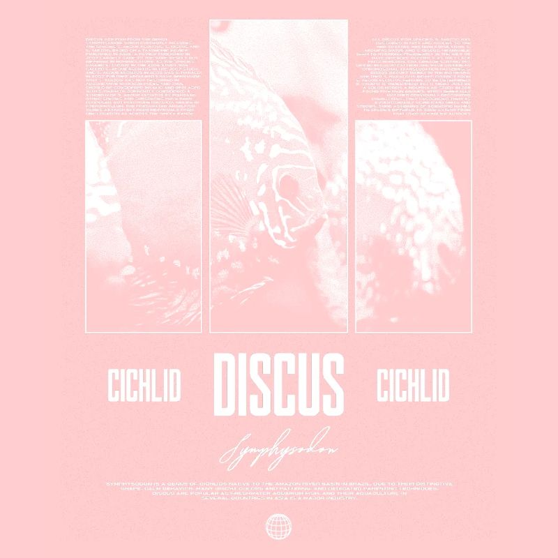 Discus Cichlidé Aquarium Fish Keeper