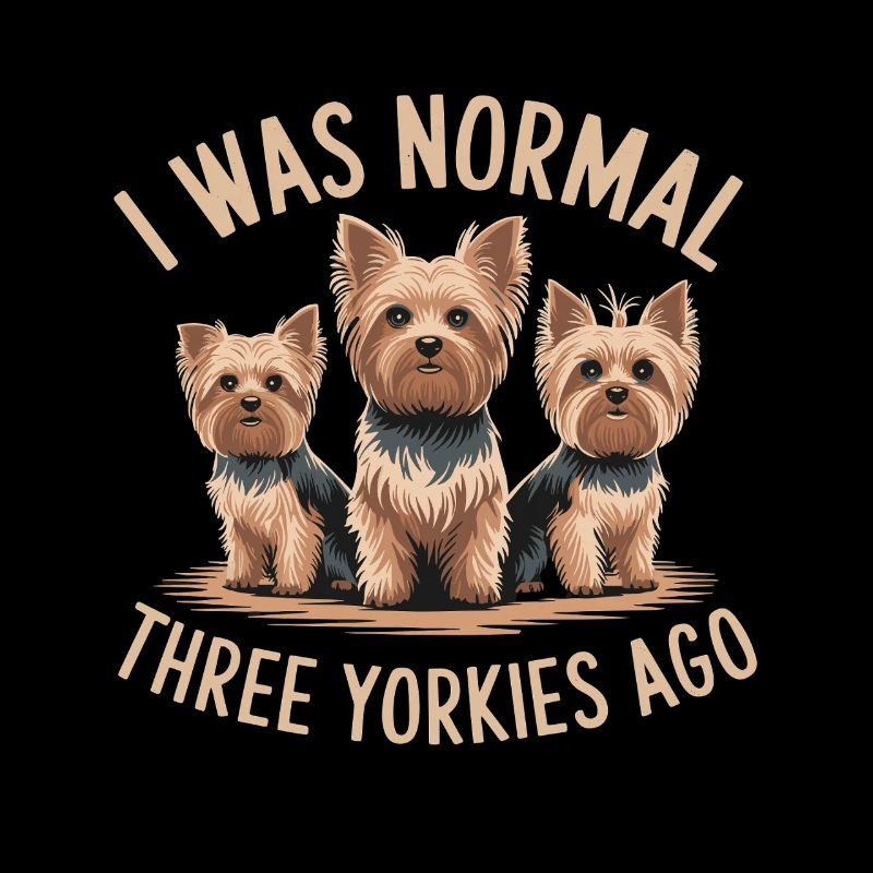J’étais normal devant trois Yorkies Yorkshire Terrier