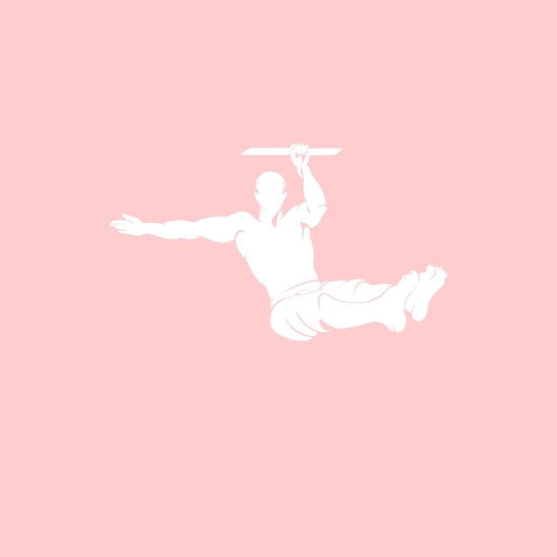 L-Sit Calisthenics athlete bodyweight gift idea