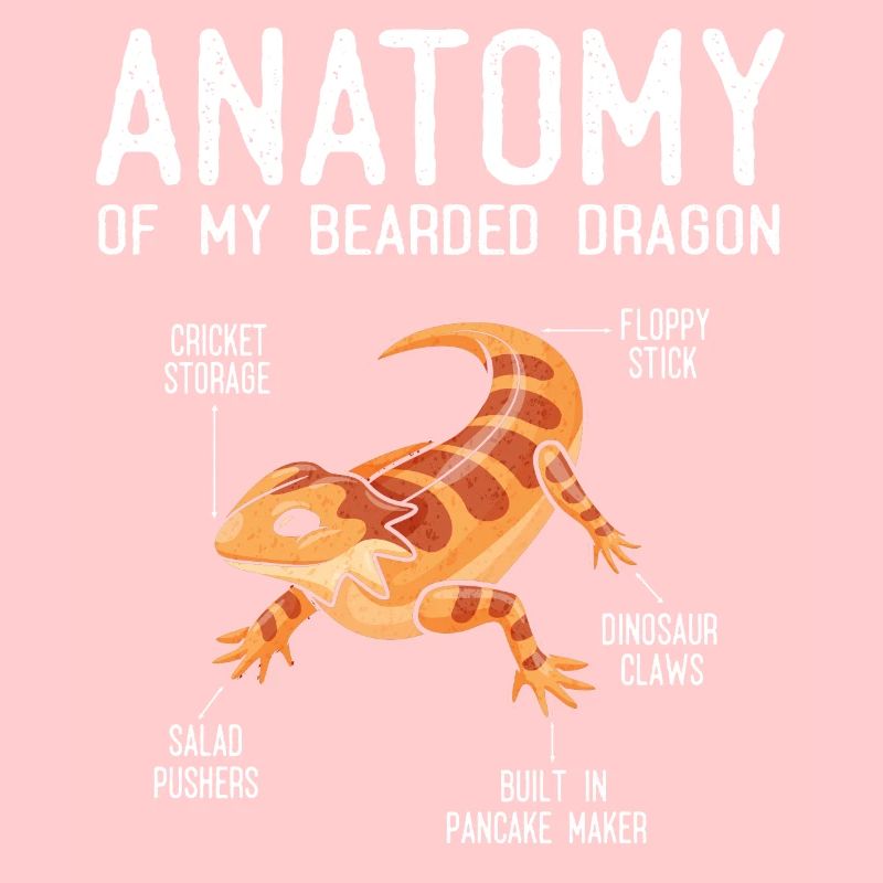 Anatomie Eines Bärtigen Drachen