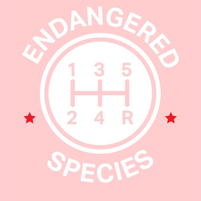 Manuelle Getriebe, Manuelles Verschieben