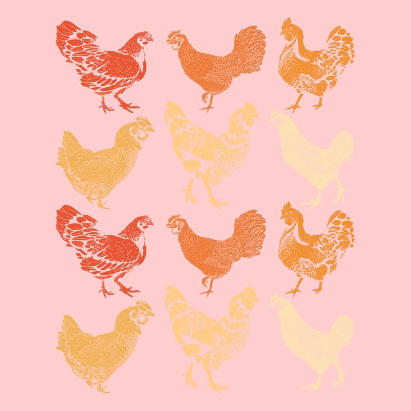 Poulets