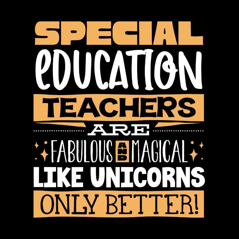 Special Needs Education, Special Education