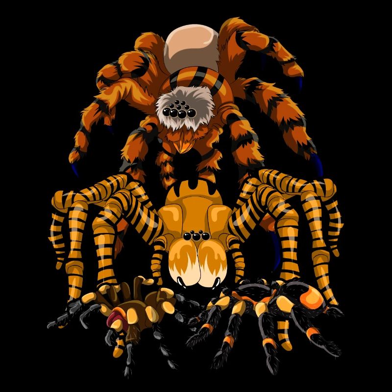 Tarentule Tarentule Arachnide Cadeau Araignée