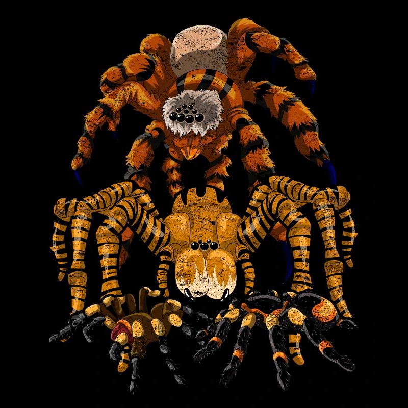 Tarentule Arachnide Tarentule Cadeau Araignée