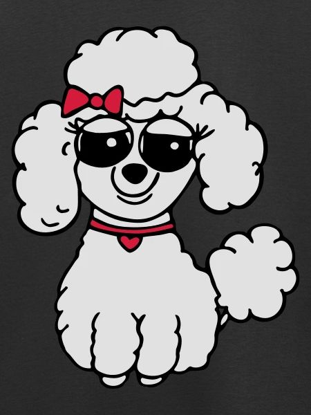 poodle 3