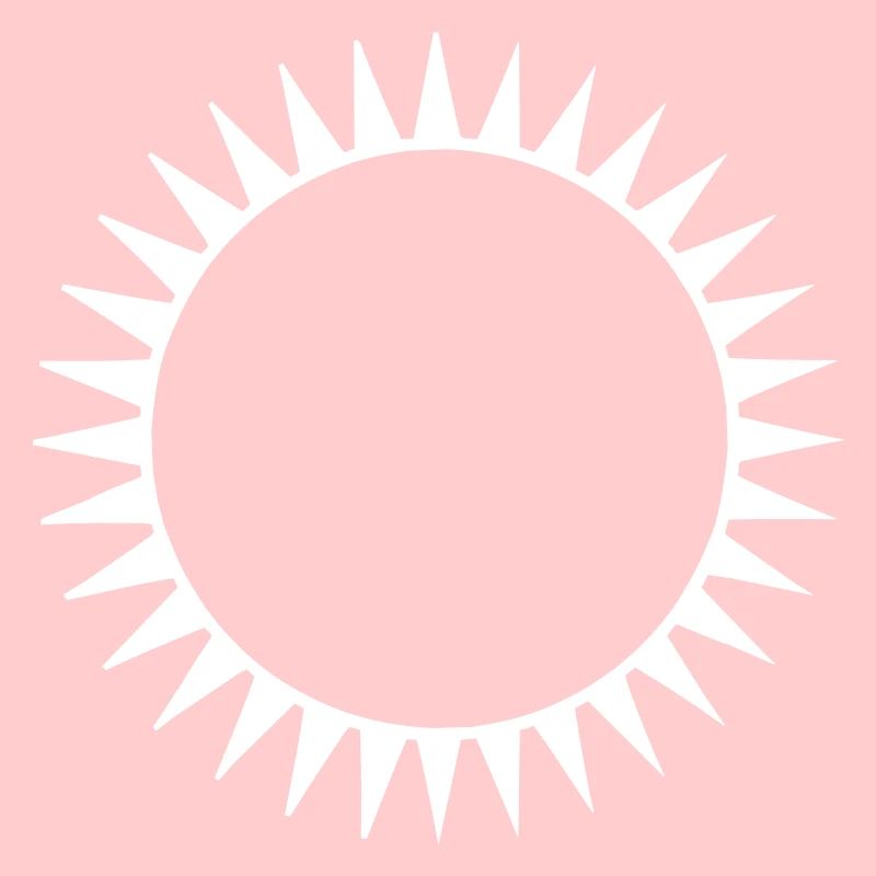 Die schwarze Sonne