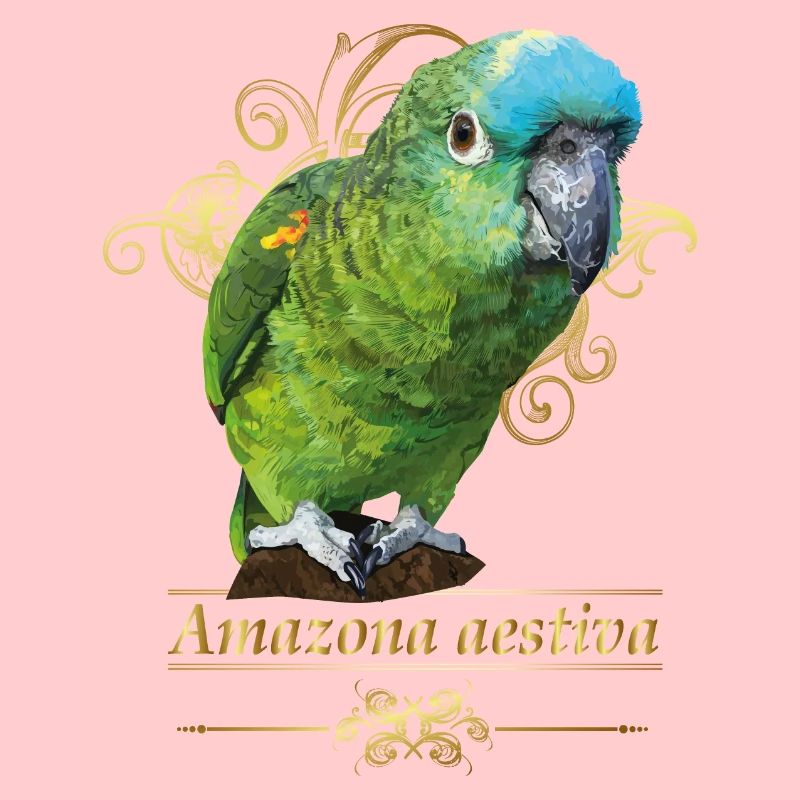 Amazone à front bleu