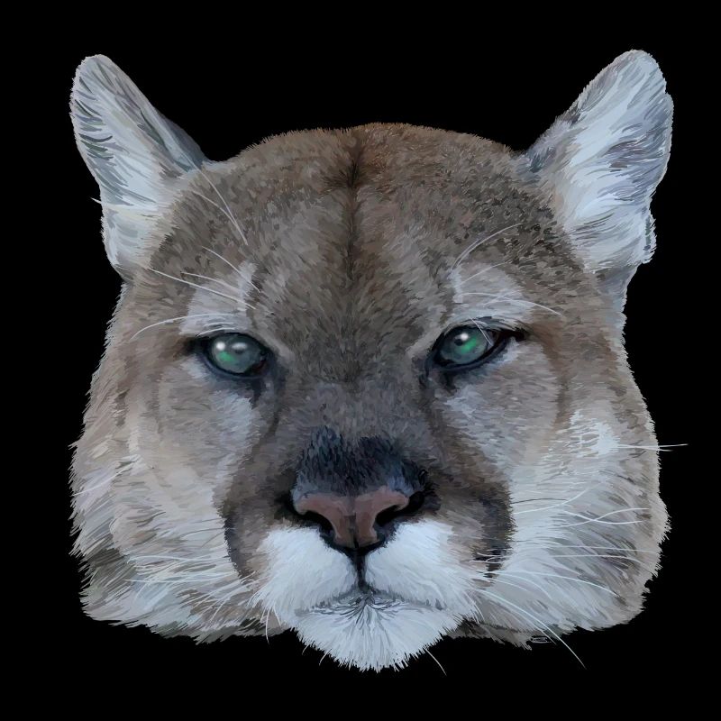 Panthère
