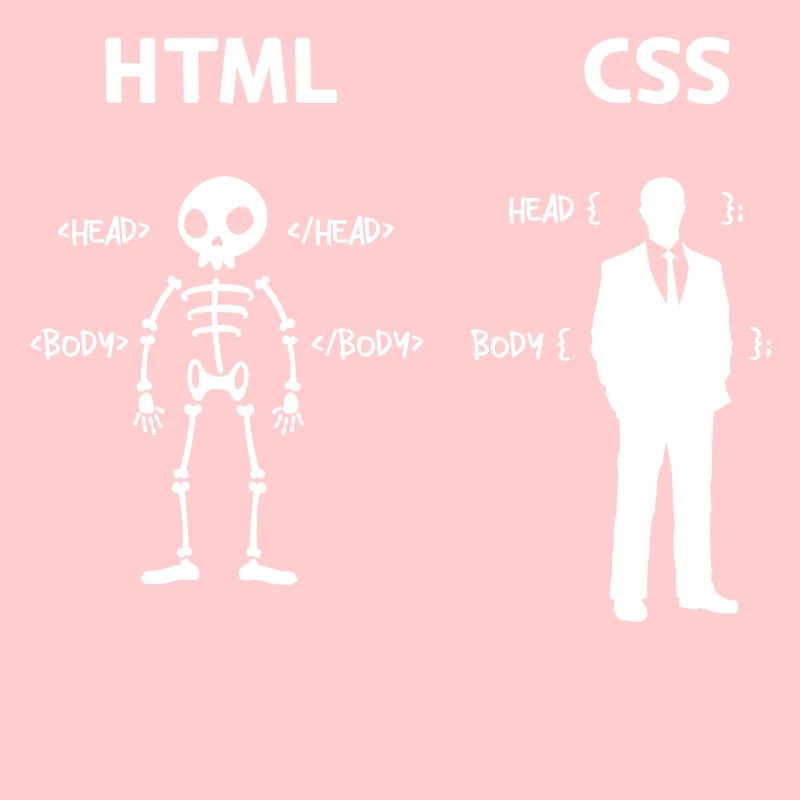 Code Css C++ Php Java Developer Code Skripting