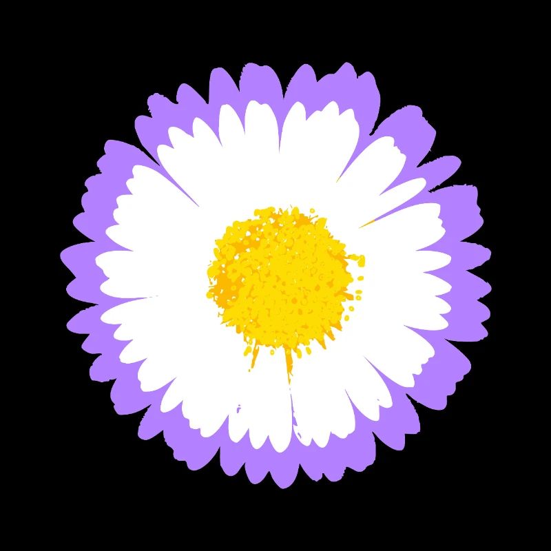 Lila Daisy Bloom mit gelbem Kern