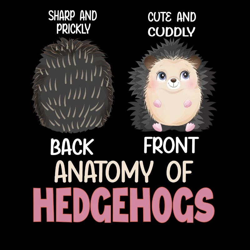Anatomie des Igel
