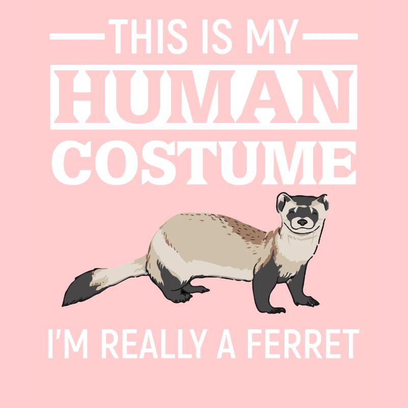 Furet