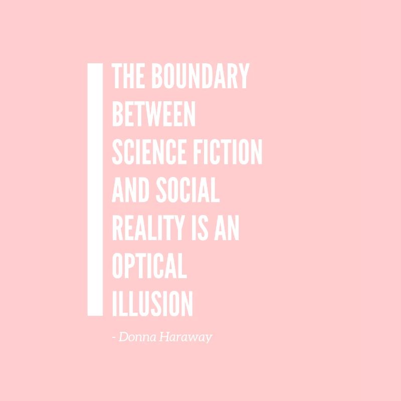 Donna Haraway cyborg zitat
