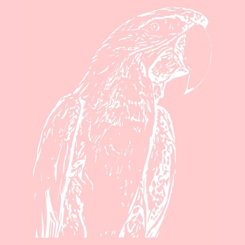 Parrots Bird White