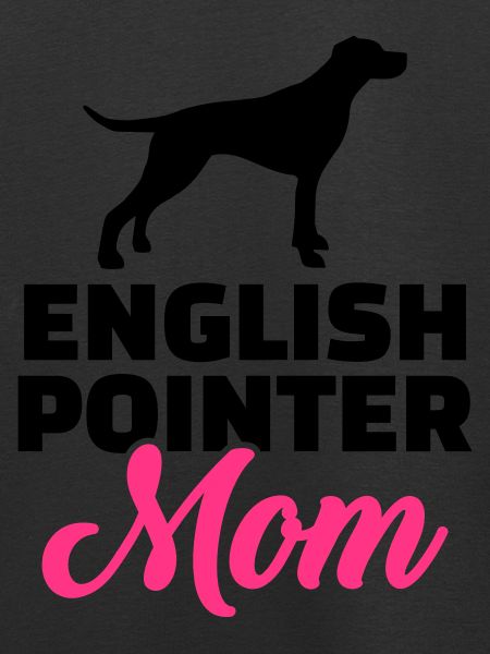 English Pointer