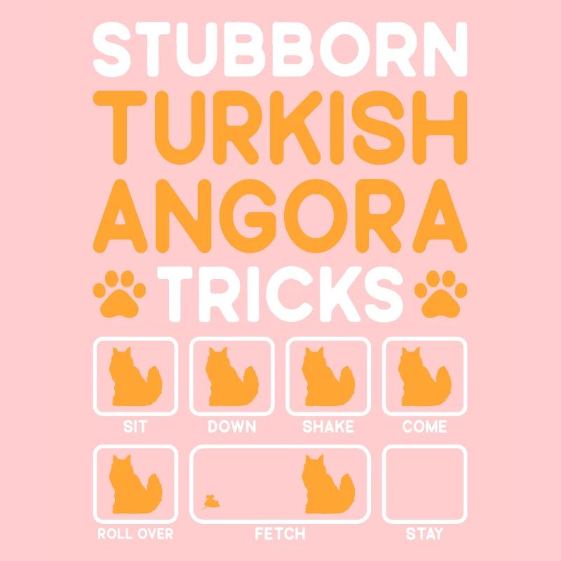 Tricks Têtus Chat Angora Turc