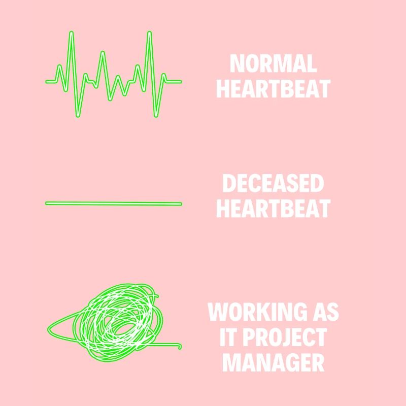 IT Project Manager Worker IT Computer