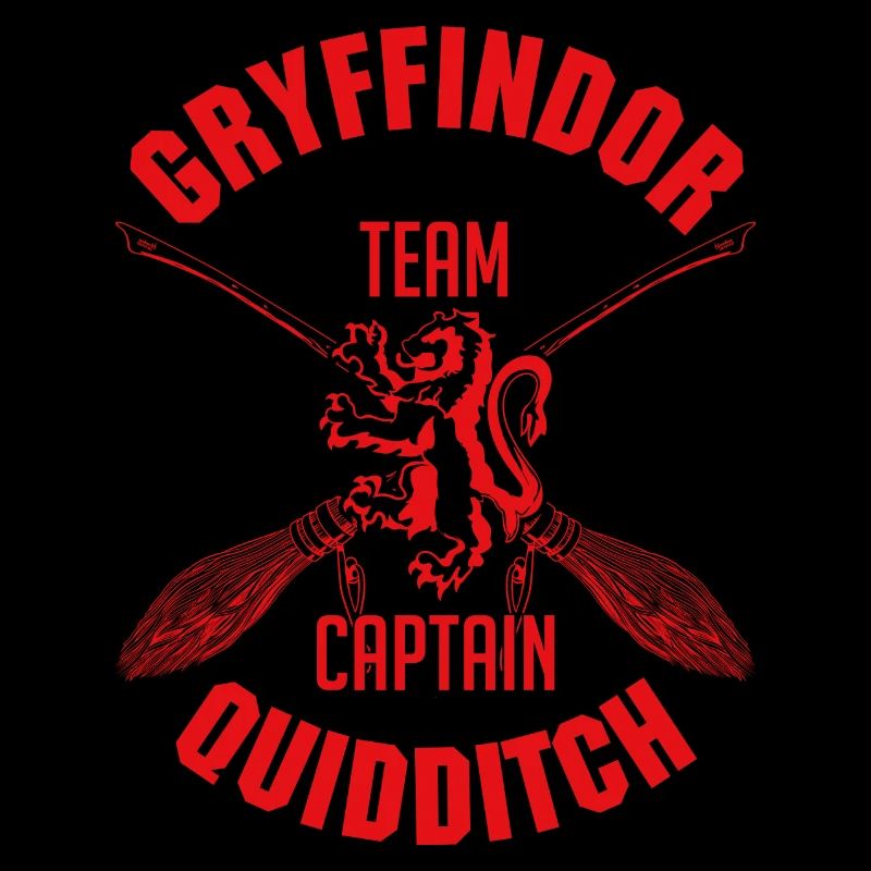 Harry Potter Gryffindor Team Captain Quidditch