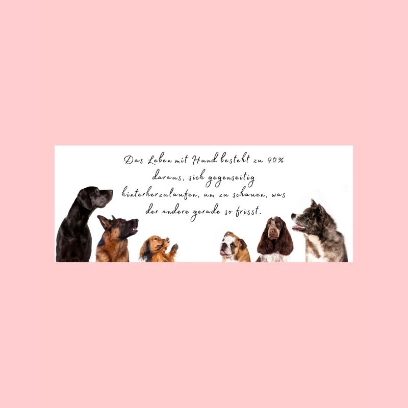 Leben mit Hund